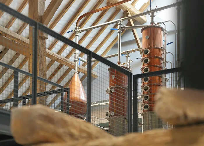 Domaine De L'ambassadeur *